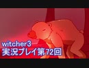 探し人を求めてwitcher3実況プレイ第72回