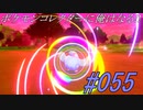 ポケモンコレクターに俺はなる‼#055