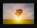 [Music] サンライズ - 騒音のない世界