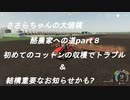 ささらちゃんの大規模酪農家への道part８　初めてのコットンの収穫と結構重要なお知らせ