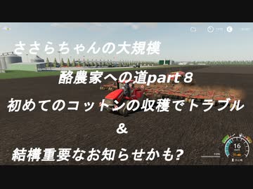 ささらちゃんの大規模酪農家への道part８　初めてのコットンの収穫と結構重要なお知らせ