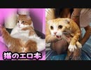 【可愛いすぎる】動物のボケてがツッコミどころ満載だったｗｗｗ【おもしろ画像】【ツッコミ動画】【殿堂入りボケて】【衝撃【犬】【猫】【癒やし】【アニマル】