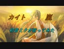 カイト／嵐【初音ミクが歌ってみた　by 　yuKi】