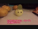 【ねことドイチ】北ドイツのアレな郷土料理その3