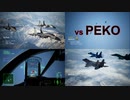 Ace Combat 7 Multiplayer563 チームデスマッチ Su-34 + HCAA