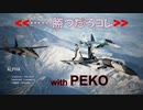 Ace Combat 7 Multiplayer564 チームデスマッチ Su-30SM + 6AAM
