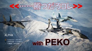 Ace Combat 7 Multiplayer564 チームデスマッチ Su-30SM + 6AAM