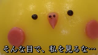 【鳥好き必見】ことりカフェに行ってみた（大阪/心斎橋）