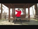 【りんご缶】純情☆ファイター【踊ってみた】
