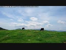 【生海月】なまくらじお【2020.1.5】