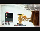 お正月企画なーさんの「シタデル」第22回