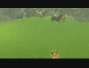 依頼を受けて、群れの馬を、違う群れの馬と合流させてみた