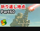 【実況】今年で定年を迎える父をハイラルの大地に放り込むPart60【ゼルダの伝説BotW】