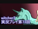探し人を求めてwitcher3実況プレイ第73回