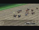 【WP8-2015】現役中に亡くなった馬と､その子孫縛り-改144回→改143.1回