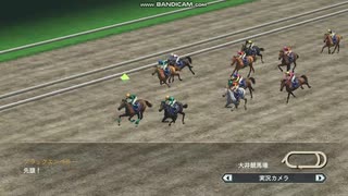 【WP8-2015】現役中に亡くなった馬と､その子孫縛り-改144回→改143.1回