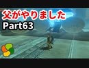 【実況】今年で定年を迎える父をハイラルの大地に放り込むPart63【ゼルダの伝説BotW】