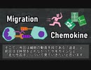 【ゆっくり解説】組織への遊走と走化性因子