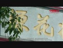 China Recommendation--Taohuayuan