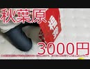 【福袋】秋葉原で買った福袋を開封してみた。【2020】