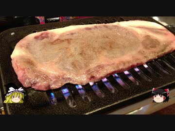 【ゆっくり】チキンの旅日誌　宮古島グルメ旅行③　沖縄過去旅行 後編