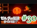 【ゼルダの伝説 夢をみる島 実況】突如リメイクされたゼルダの伝説で満喫するワクワクをおすそ分け！？part30