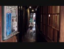 【MMD】広島県尾道市よりハロー【電脳少女シロ】