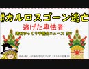 #カルロスゴーン逃亡 逃げた卑怯者【週刊ゆっくり平護会ニュース#37】