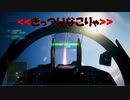 Ace Combat 7 Multiplayer565 バトルロイヤル Su-37 + TLS