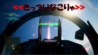 Ace Combat 7 Multiplayer565 バトルロイヤル Su-37 + TLS