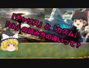 【ゆっくり解説】チャリスとカズム「Ch」の読み方の違いって？【MTG】