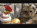 【令和２年】 明けましておめでとうございます