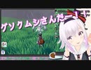 帰ってきたワイルドエリアを堪能するカルロ・ピノ