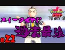 【初見が目指すは怪獣軍団】ポケットモンスターソード・シールドpart21【24歳フリーター】