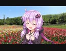 ちょっとその辺、散策記。 mini02 【紲星あかり】【結月ゆかり】