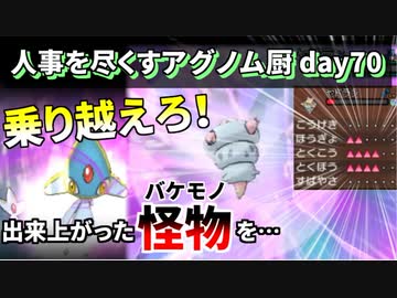 ポケモンusum 人事を尽くすアグノム厨 Day70 第2回sin人事アグノム報告会 ガチ神回 Nicozon