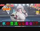 part26 ジム戦！剣と盾の歴史「ポケモン剣盾」縛り実況 初投稿