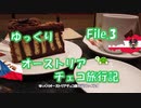 ゆっくりオーストリア・チェコ旅行記 File.3 ウィーンのケーキと夜景