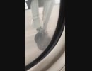 ホモと見る航空事故