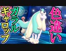 【ポケモン剣盾】"色違い"ガラルギャロップで魔の対戦環境を破壊する！【ランクマッチ実況】