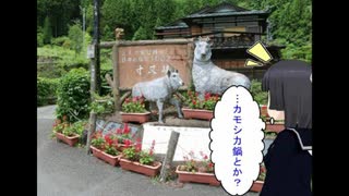 静岡県夢の吊り橋へGO!!-ゆるゆる国内旅行マンガ-【ゆるとらべるエピソード11】