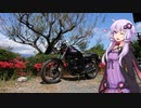 [VOICEROID車載] 今日のバイク日記 Part17 [結月ゆかり車載]