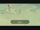 ワビスケをさらに運んでみた