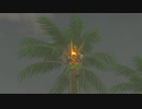 依頼を受けて、ウオトリー村のヤシの実を燃やしてみた
