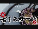 【実況】新約・加速するスカイリムの旅 Page414
