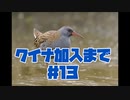 リオン総帥のゲームセンターRX　FF9を介護実況プレイ！！　　＃13　クイナ蛙狩猟編