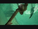 【実況動画】CALL OF CTHULHU【part15】