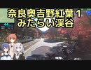 おバイク！奈良奥吉野紅葉１ みたらい渓谷【GLADIUS】