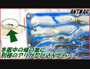 冬眠中の蟻の巣に、別種のアリが侵入してきたら【前編】