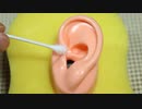 【ASMR】新しい耳を拾ったので耳介耳かき【音フェチ】
